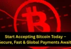 Bitcoin Merchant Account Dashboard Displaying Crypto Payments in Real-Time